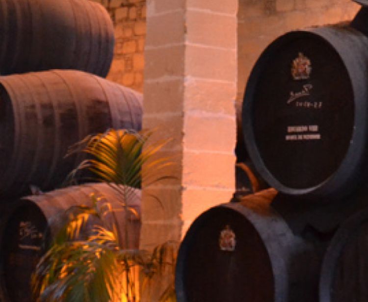 Jerez Tours