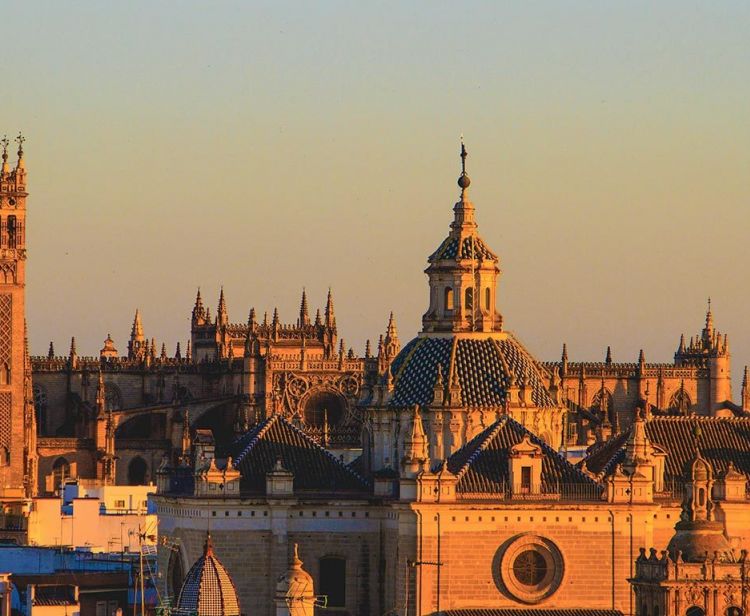 Tour inside the Royal Alcazar + Cathedral & Giralda