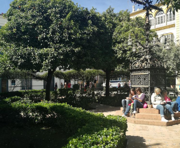 Seville Santa Cruz Jewish Quarter Tour + Seville river cruise