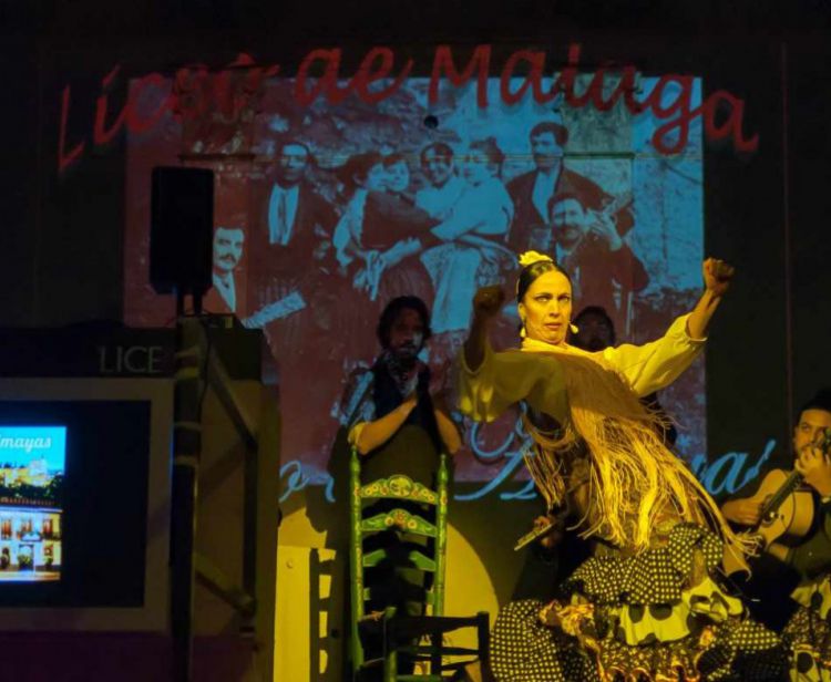 Accessibile con sedia a rotelle 